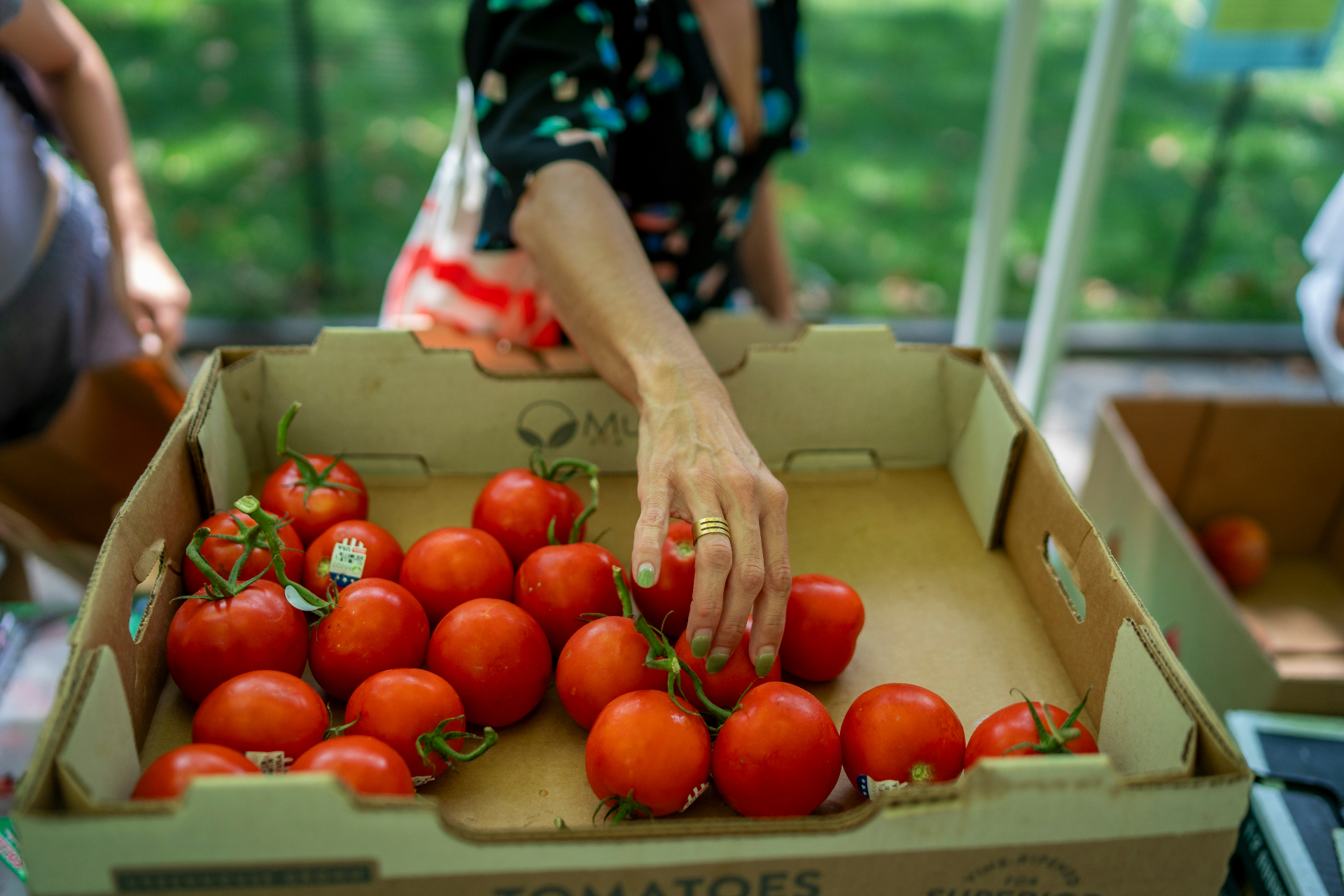 Fall harvest produce
